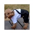 thumbnail image 3 of Pet Dog/Cat Formal Suit, Wedding Photo, Two Piece Shirt And Tuxedo - Tailcoat, 3 of 5