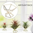 thumbnail image 2 of 3 soportes geométricos para plantas de aire, de metal, para decoración Himmeli, para tillandsia, 2 of 8