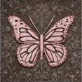 thumbnail image 2 of Pink Butterfly IV Poster Print by Todd Williams (12 x 12), 2 of 2
