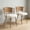 Brown, variant on Beige,Brown Beige Brown Wicker Dining Chairs 2-Piece Set - 22.05 in Seat for Home Kitchen