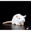 thumbnail image 5 of 2024 Jouets en Peluche de Rat Mignon Extra Doux Réaliste Souris Animaux en Peluche Jouet pour Enfants Jouets Éducatifs, 5 of 5