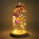 thumbnail image 1 of Lámina de oro Rosa Simulación Flor Luz de noche Lámpara de noche LED para fiestas de cumpleaños Año nuevo Día de San Valentín Regalo de Navidad Presente rosa Khall Tendencias, 1 of 6
