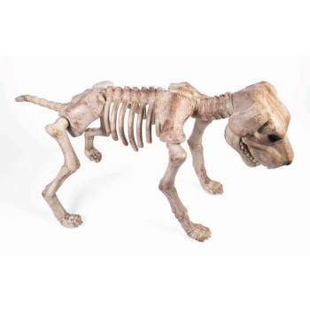 Bone Skeleton Dog Halloween Decoration Walmart Com