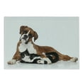 thumbnail image 1 of Animal Cutting Board, Cat and Dog Together Lying on Floor Couple Real Friends Kitty Portrait, Decorative Tempered Glass Cutting and Serving Board, Small Size, Brown Black White, by Ambesonne, 1 of 1