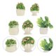 thumbnail image 2 of 5Pcs Mini Plant Bonsai Adornment Resin Bonsai Decor Micro Landscape Prop, 2 of 4