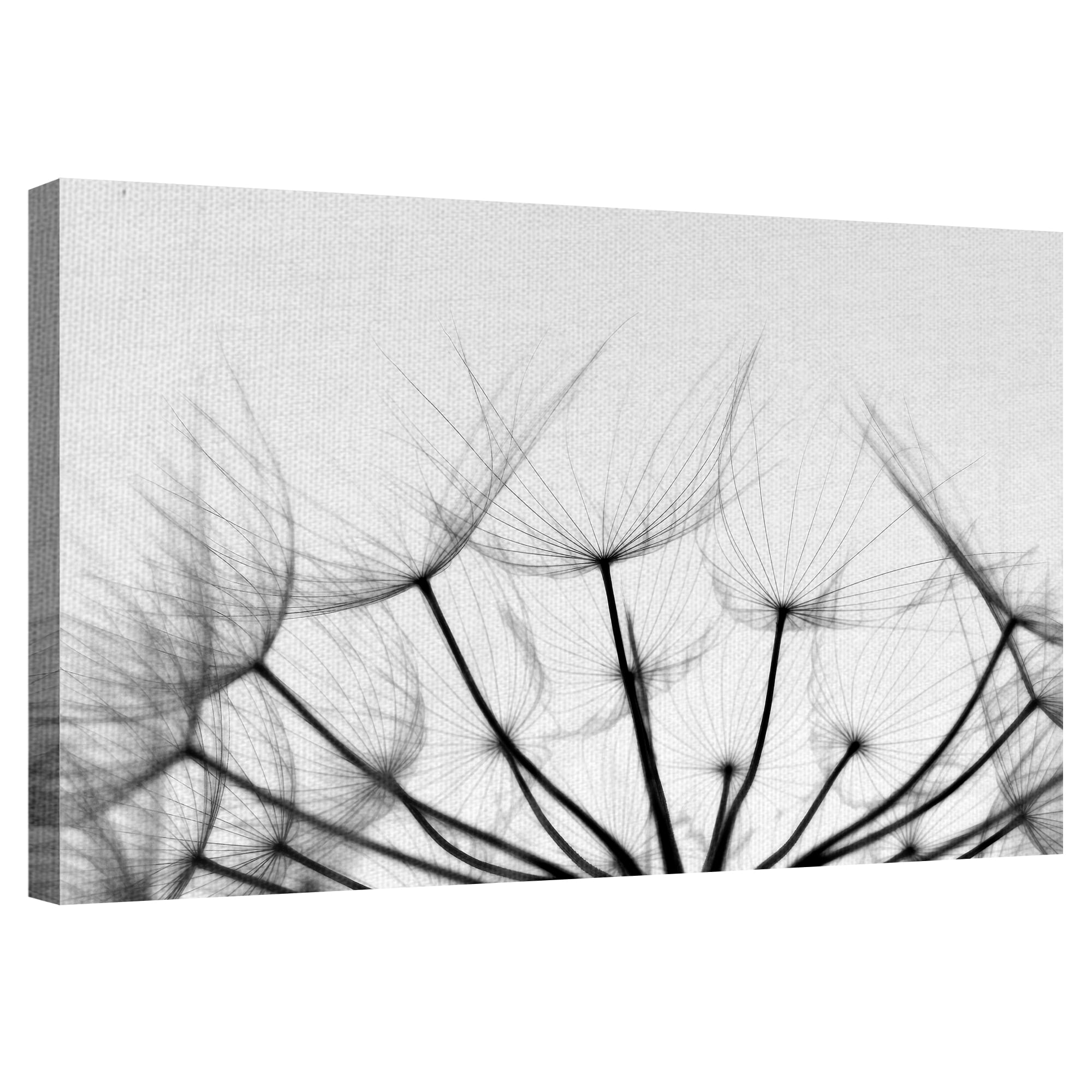 Masterpiece Art Gallery Whispers Prairie Smoke By Ilona Wellmann Canvas Art Print 24" x 36"