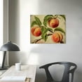 thumbnail image 4 of Apples Pears Plums Peaches Framed Canvas Prints, Fruit Wall Art for The Kitchen,Dining Room Vintage Abstract Printed Paintings, Fruit Artwork Wall Decor, Home Poster Decals, 4 of 5