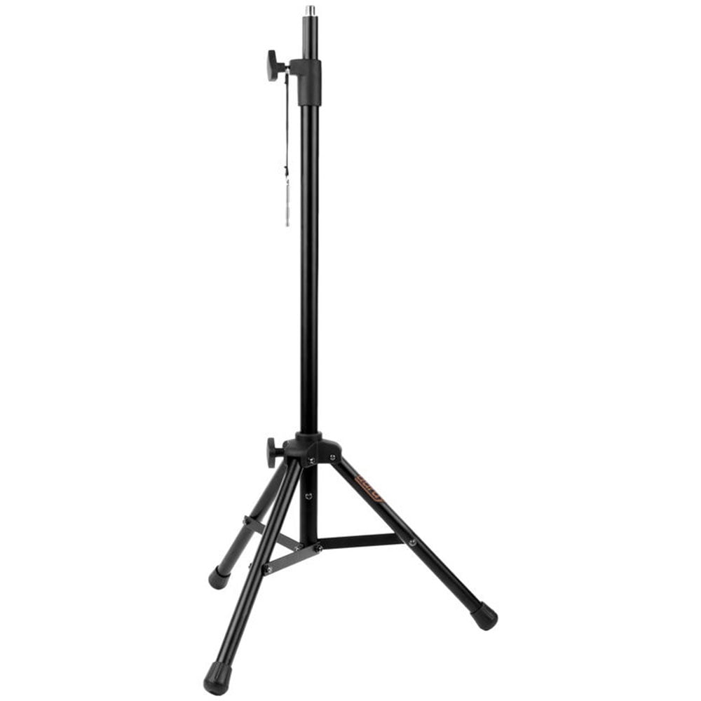 RODE NT2-A Large-Diaphragm Multipattern Condenser Microphone Bundle with Auray RF-5P-B Reflection Filter (Metal) and Auray RFMS-580 Filter Mic Stand