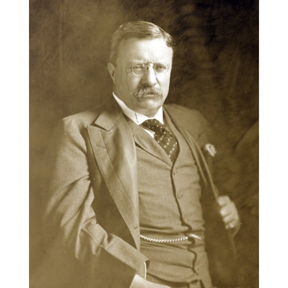 Print: Theodore Roosevelt, Half-Length Portrait, Seated With Hand