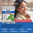 thumbnail image 3 of Zand HerbaLozenge Menthol | Peppermint & Eucalyptus Lozenges w/ Herbal Blend for Soothing Throat | No Corn Syrup, No Cane Sugar | 36 Bags, 15 Lozenges, 3 of 6