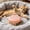 Pink, variant on Pet Food Can Lid, Reusable Silicone Can Covers, Airtight Moistureproof Seal for Cat & Dog Canned Food, 3-Ring Universal Fit, Keeps Fresh, Prevents Odors, Easy Clean, Multiple Colors