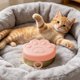 thumbnail image 1 of Tapa de Silicona para Latas de Comida para Mascotas, Cierre Hermético y a Prueba de Humedad para Latas de Comida para Gatos y Perros – Ajuste Universal 3 En 1, 1 of 7