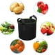 thumbnail image 5 of Paquete de 3 bolsas de cultivo de tomate, bolsas de cultivo con asas de tela de fieltro, bolsa de cultivo de plantas para tomates, flores, plantas y más, alternativa ideal a macetas de 7 galones JFHHH pequeña, 5 of 5