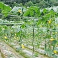 clearance Large Trellis Netting Plant Climbing Net Garden Vegetable