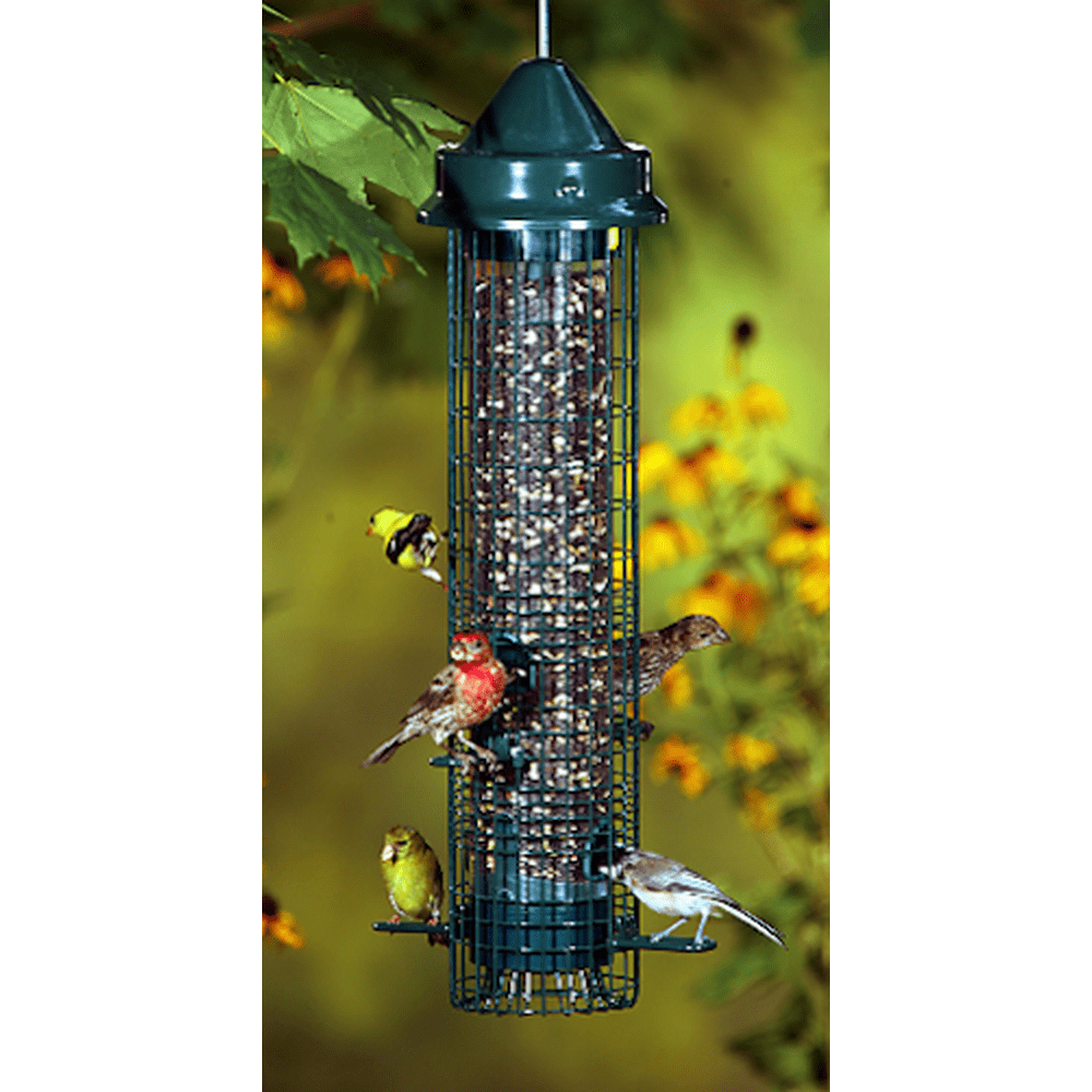 Squirrel Buster Finch Squirrelproof Bird Feeder w/4 Metal Perches & 8