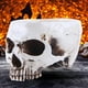 thumbnail image 3 of Maceta Flores para Suculentas Modelo Calavera Resina Halloween Terror, 3 of 9