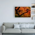 thumbnail image 3 of Trademark Fine Art 'Fall Chaos copy' Canvas Art by Darren White Photography, 3 of 3