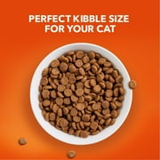 Iams Proactive Health Chicken Dry Cat Food For Senior Cats, 16 Lb Bag