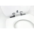 thumbnail image 2 of Topseat 6TS2E9902SL Art of Acryl Elongated Toilet Seat - Shabby Chic, 2 of 5