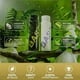 thumbnail image 5 of Based Body Works Shampoo & Conditioner Set 2025-jc, 5 of 5
