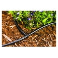 Chen xin USA Made Irrigation Drip Line Emitter Tubing 100', 12" Emitter Spacing, 1/4" .52 GPH