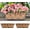 16" (41cm)x2 Pack, variant on 16 Inch Deck Railing Hanging Basket, 4 Pack Black Metal Flower Box with Coco Liner, Outdoor Window Planter for Fence Balcony Garden Patio Porch Farmhouse Decor