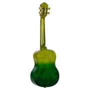 Ortega Prism Series RUPR-IVY Tenor Ukulele Ivy Fade