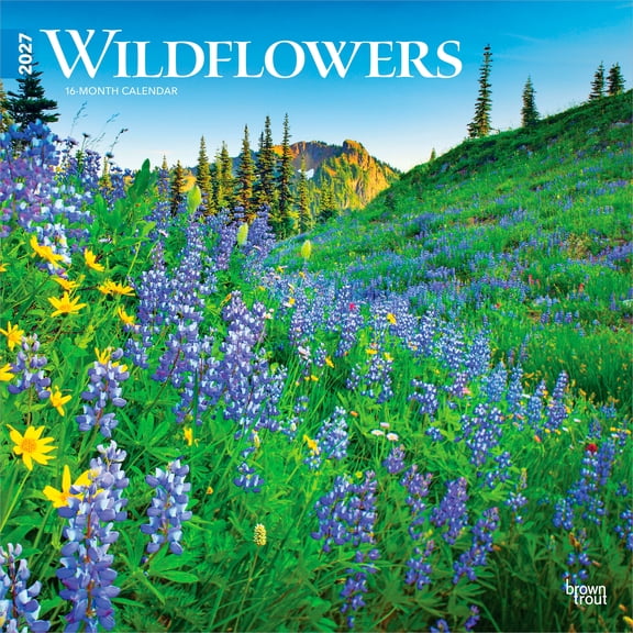 Wildflowers | 2027 12x24" (Hanging) Wall Calendar | Plastic-Free