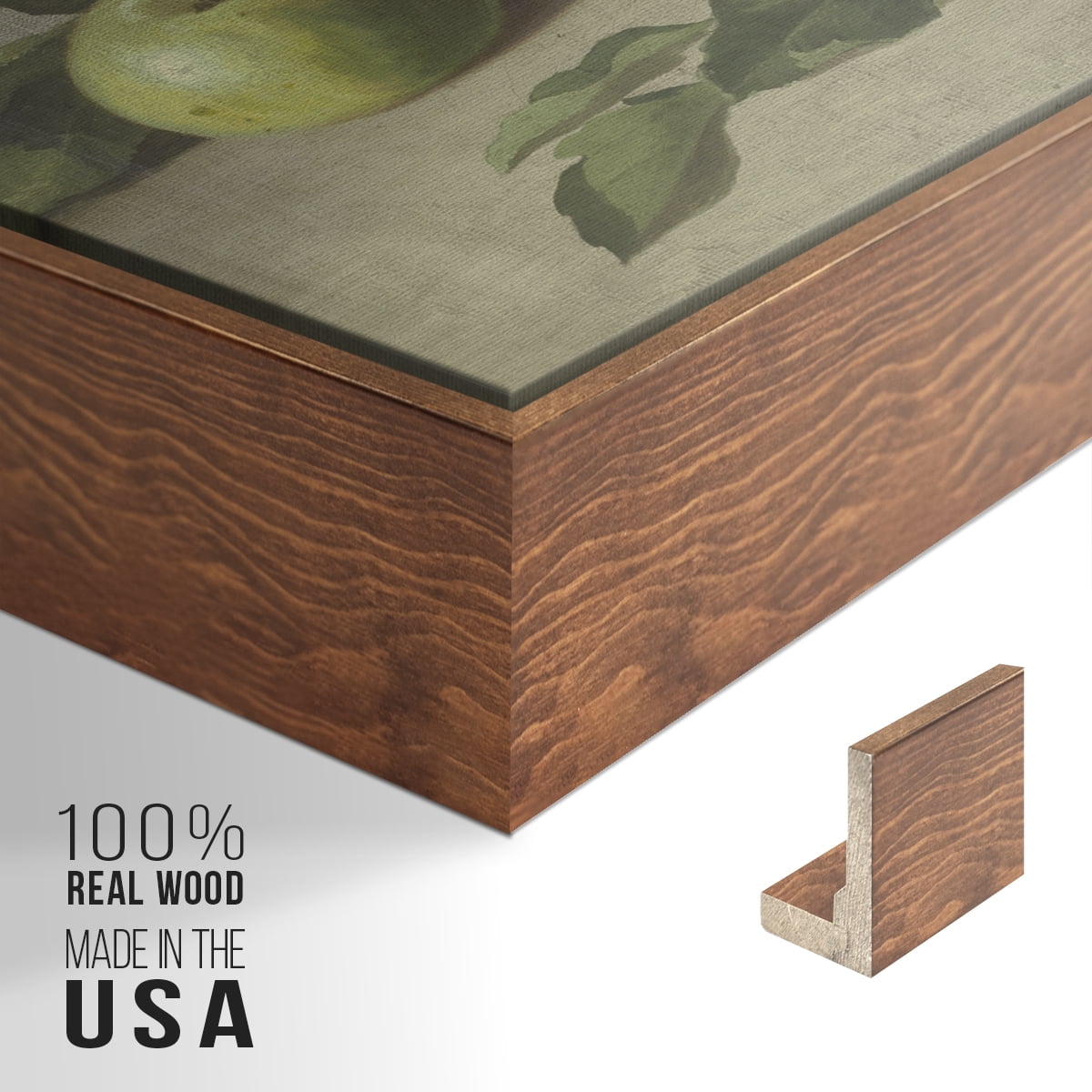 Vintage Botanical Print-LXXXVI By Wexford Home Framed in Walnut Wood Gallery Wrapped Canvas 25 in. x 37 in.