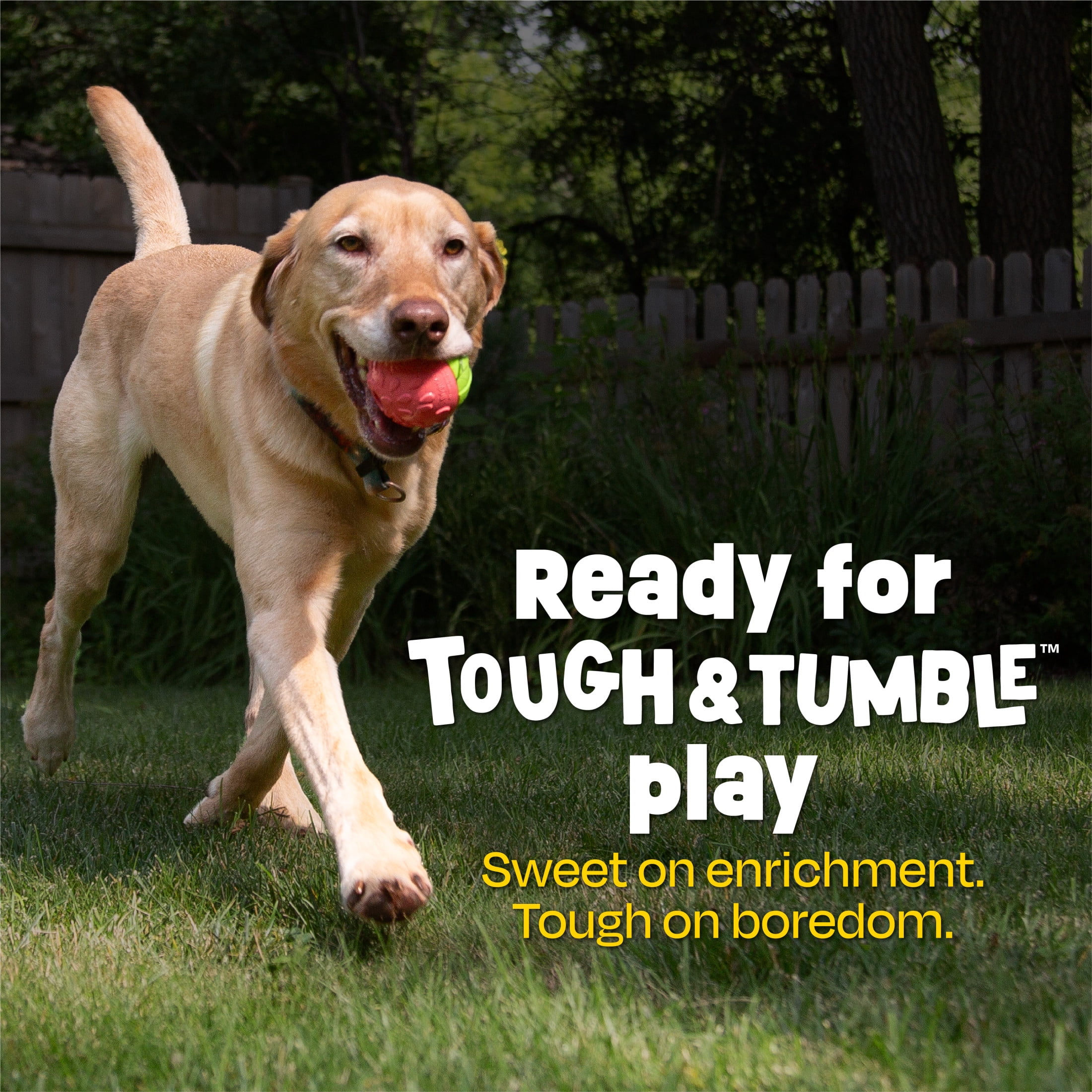 Brightkins Tough & Tumble 2-piece Watermelon, Puppy Essentials, Dog Birthday Treat Pouch Gifts