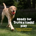 thumbnail image 3 of Brightkins Tough & Tumble 2-piece Watermelon, Puppy Essentials, Dog Birthday Treat Pouch Gifts, 3 of 8