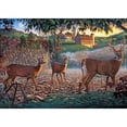 thumbnail image 1 of Drill Diamond Painting (DE5365) Full Rhinestone Picture DIY Animals Poster (LD626) 30x40cm FLhrweasw Nuevo, 1 of 1