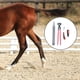 thumbnail image 5 of 3 Pieces Manicuring Cleaning Hoof Trimming Tools Set Manicure Care, 5 of 8