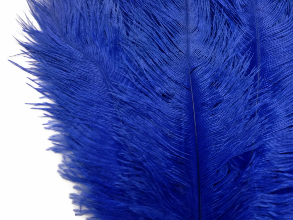 10 Pieces 8-10" Hot Pink Ostrich Dyed Drabs Feathers Centerpiece Prom Craft 
