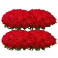 thumbnail image 1 of Flores artificiales Wondrus, 100 piezas, rosas rojas de terciopelo, 1 of 6