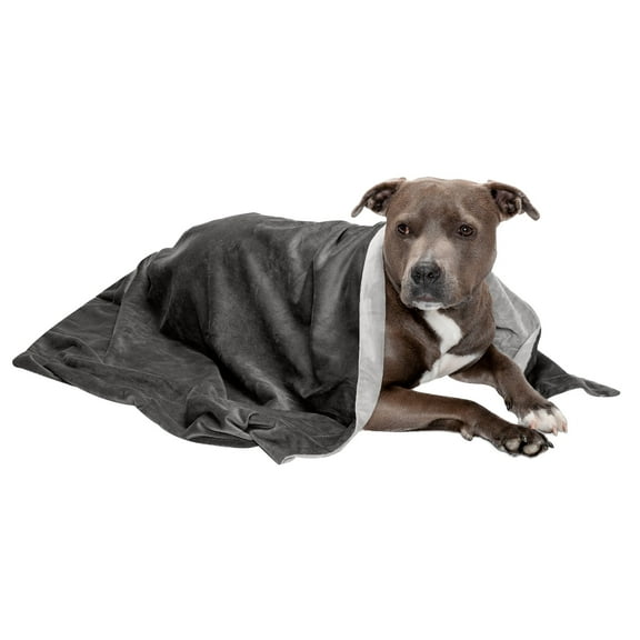 FurHaven Pet Products Waterproof Velvet Throw Blanket - Granite Gray, Small