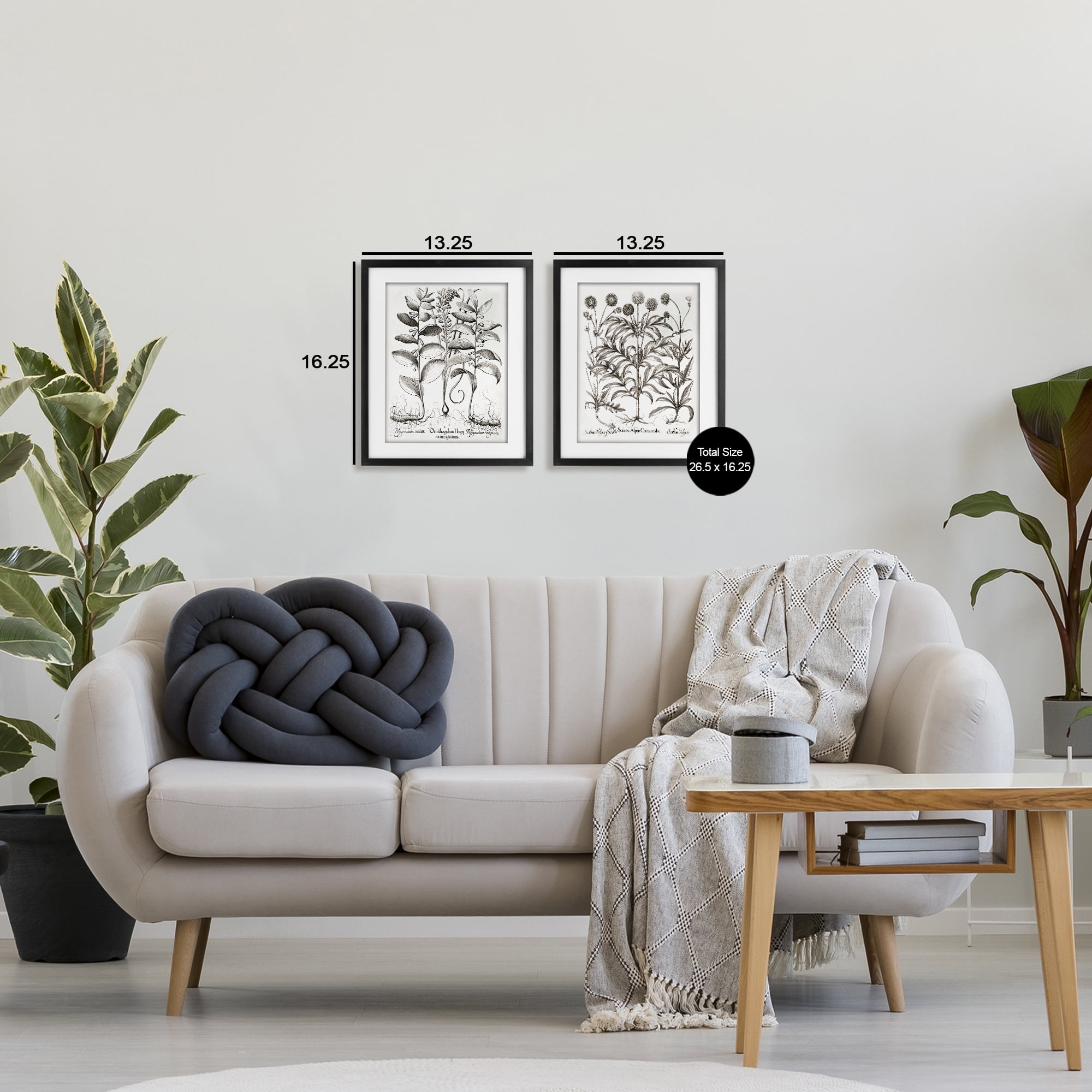 Botanical Root & Plant Studies 2 Piece Black Framed Print Under Glass Set, design by Lettered and Lined