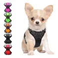 thumbnail image 1 of Pechera Para Perro Chico Arnes Ajustable Cintas Reflejantes, 1 of 8