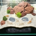 thumbnail image 2 of Tdxkok Aquarium Under Gravel Tunnel Decor Fish Shrimp Hideout Cave Shelter Slide Ornament Safe Aquatic Pet Habitat Reduce Stress Aquascape Supply, 2 of 6