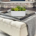 thumbnail image 4 of Artificial Mixed Succulents Plants in White Ceramic Planter Assorted Fake Succulents Plant Arrangements in Pots Faux Succulent Plants Potted Home Decor, 4 of 6