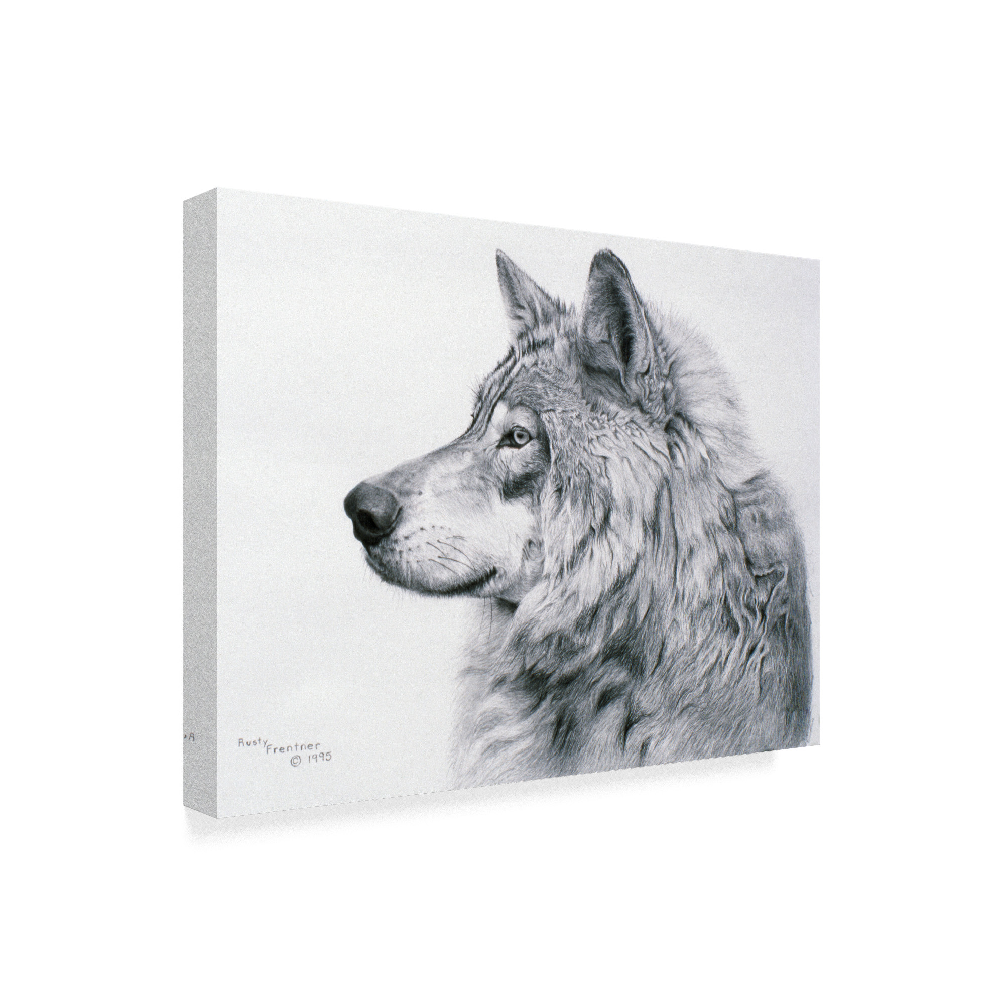 Trademark Fine Art 'Lanus Lupis' Canvas Art by Rusty Frentner