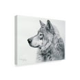 thumbnail image 2 of Trademark Fine Art 'Lanus Lupis' Canvas Art by Rusty Frentner, 2 of 3