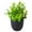 J4#E, variant on Artificial Greenery Potted Plants, Realistic Faux Plants Indoor Small, Fake Plants Decor for Shelves, Mini Artificial Potted Plant for Home Office Table, Desk Farmhouse Decoration