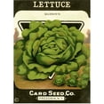 thumbnail image 1 of Great BIG Canvas | Rolled Poster Print entitled Lettuce, 1 of 4