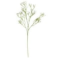 thumbnail image 1 of Uinagy Fausse Plante Gypsophile, 1 of 7