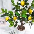 thumbnail image 2 of 24Inch Fake Lemon Tree, Lemon Decor for Tabletop, Desk, Centerpiece, Home, Kitchen, Living Room, Artificial Potted Plants with White Planter and Stone Cover, 2 of 7