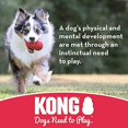 thumbnail image 3 of Juguete para perros KONG Extreme Ball, caucho natural duradero, paquete de 2, 3 of 6