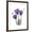Brown Frame, variant on Art.com Purple Gentian Triplet Premium Giclee Print by Albert Koetsier, 12" x 16"