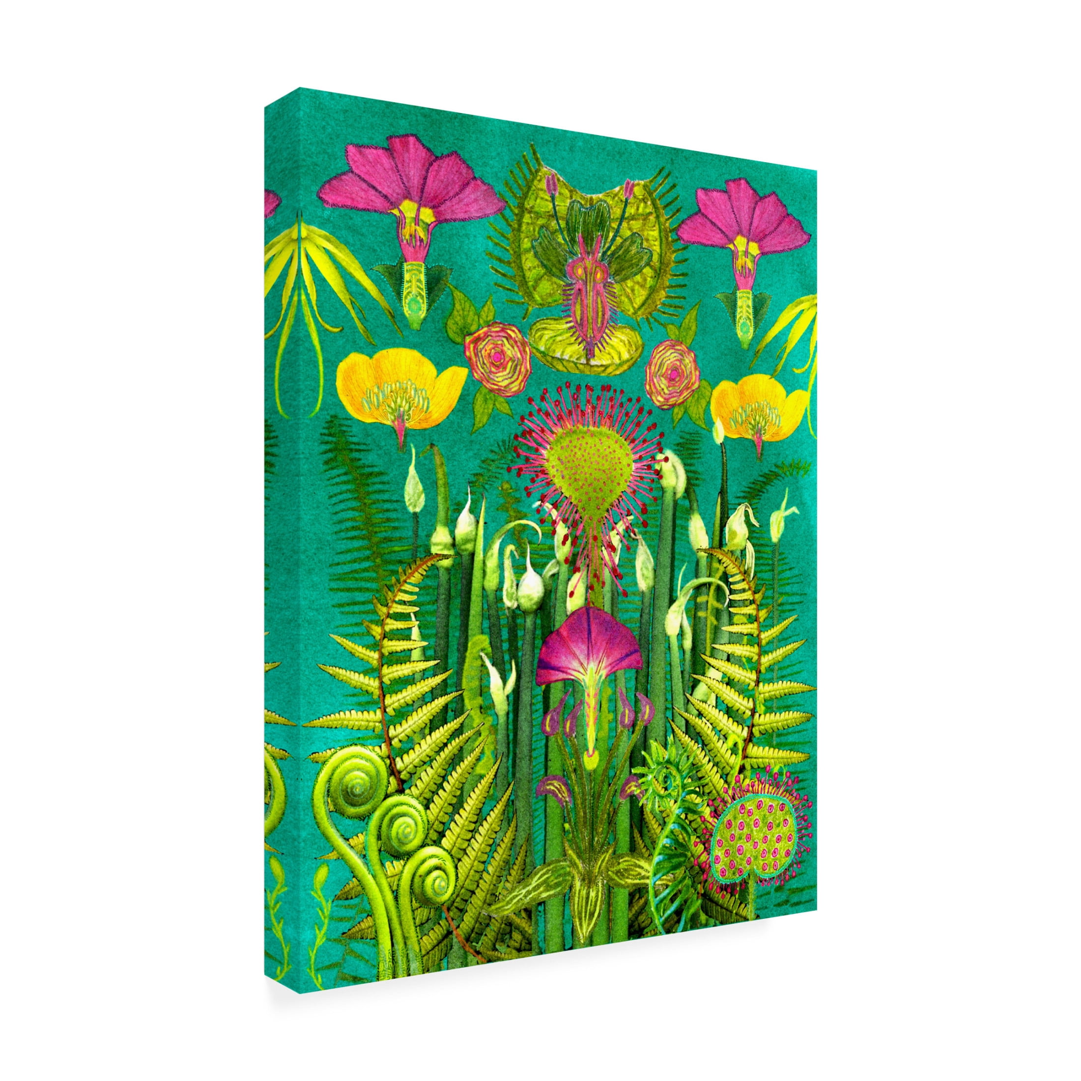 Trademark Fine Art giovanna nicolo Electric Meadow Canvas Wall Art