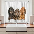 thumbnail image 2 of Ambesonne Dachshund Kitchen Curtains, Different Color Dogs Lays, 55"x39", Dark Taupe Grey Taupe, 2 of 3